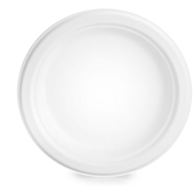 10"White Bagasse Plate (258 * 258*20.5mm）-Pack of 500