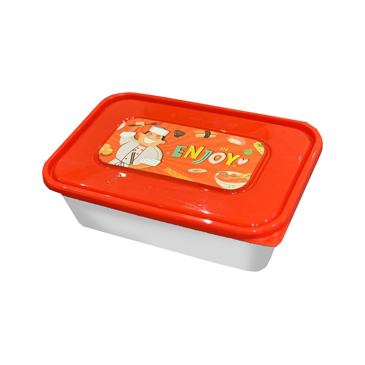 Microwave Plastic Containers with designed colourful Lids [500ml](a pack of 250)