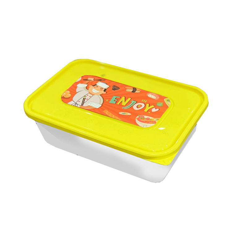 Microwave Plastic Containers with designed colourful Lids [500ml](a pack of 250)