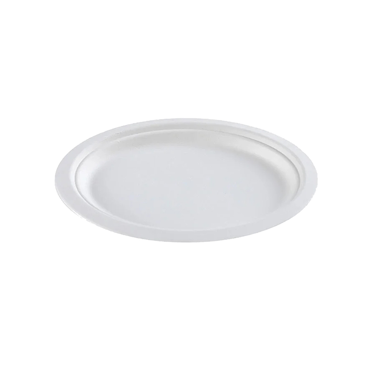 10 inch White Bagasse Plate [258x258x20.5mm](a pack of 500)